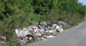 Краснинский район завален мусором