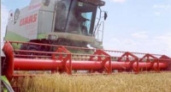 В Липецкой области уже намолочено больше 700 тысяч тонн зерна