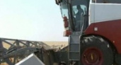 Грязинские фермеры выбирают отечественные комбайны