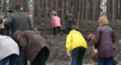 В День Земли в парках Липецка пройдут массовые субботники 