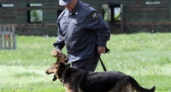 В Липецке соревнуются полицейские кинологи 