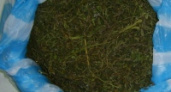Липецкими наркополицейскими изъято около полутора килограммов марихуаны