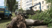 В Липецке ураган оставил без света 115 тысяч жителей
