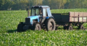 Агроном виноват в гибели механизатора 