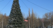 Завтра будут украшать главную ёлку в Липецке