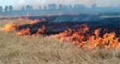 В Липецкой области вводится особый противопожарный режим
