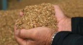 Россия вводит временный запрет на экспорт зерновых