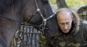 Путин поразил западные СМИ фотосессией с лошадью
