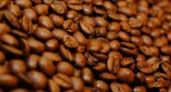 Цены на кофе могут резко вырасти