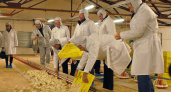 Группа «Черкизово» открыла бройлерный цех в Данковском районе за 1,6 млрд. рублей