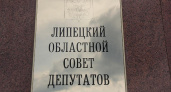 Кандидатов в депутаты Липецкого облсовета обяжут предоставлять избирателям данные о своих судимостях