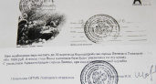 Липецкая мэрия предостерегла предпринимателей от реакции на «лживые» письма с требованием проспонсировать благоустройство города