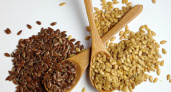 German Seed Alliance перенес строительство семенного завода в Липецкой области на 2016 год