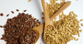 German Seed Alliance пока не начал строить селекционно-семеноводческую станцию в Липецкой области