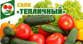 Липецкий СХПК «Тепличный» сменит форму собственности для привлечения инвесторов