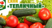 Липецкому производителю огурцов и томатов придется отдать 17,2 млн рублей долга за газ