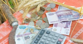 Российское правительство обделило липецких аграриев рублем