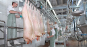 Группа «Черкизово» завершит строительство липецкого свинокомплекса за 400 млн рублей в конце 2016 года