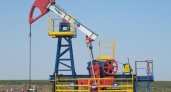 Рост продаж липецкой компании «ЛеМаЗ» затормозился из-за падения цены на нефть