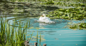 В Липецкой области планируют улучшить экологию водоемов за счет массового строительства зон санитарной охраны