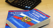 В Липецкой области могут ввести специальный налоговый режим для самозанятых