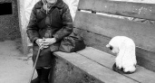 Липецкая область оказалась в тройке «призёров» антирейтинга по пенсионной бедности
