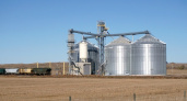 Липецкая компания «Чаплыгинский элеватор» подготовила к продаже активы на 30 млн рублей