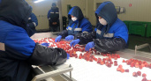 Липецкие пищевики могут получить кредит до 300 млн под 1% 