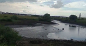 Липецкий штаб Навального обвиняет чиновников в «краже» водоёма в микрорайоне Елецкий