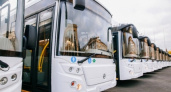 В Липецкой области автопредприятия будут лишать свидетельств на перевозку пассажиров