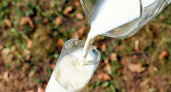 Липецкий молзавод не смог оспорить штраф за поставку небезопасной продукции в дом престарелых