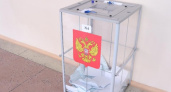 В Липецкой области поставили под сомнение эффективность дистанционного электронного голосования