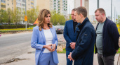 Расторжение контракта с подрядчиком на отлов бродячих собак мог положительно сказаться на рейтинге мэра Липецка