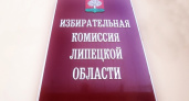 Главу аппарата липецкой общественной палаты выдвинули для назначения в состав избиркома