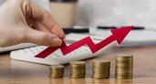 Высокий потребительский спрос ускорил инфляцию в Липецкой области
