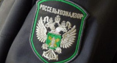 В 2024 году Россельхознадзор провел 303 профвизита в отношении липецких сельскохозпредприятий