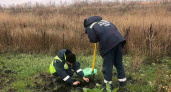 Липецкая компания «Овощи Черноземья» опять нарушила природоохранное законодательство