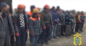 В Липецкой области полиция выявила 337 нарушений со стороны мигрантов