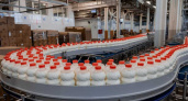 В Липецкой области выросло производство молока и кисломолочной продукции 