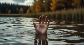 Семь погибших на воде обнаружили в Липецке летом