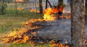 В Липецкой области вводят 4 класс пожароопасности с 7 сентября