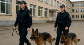 Липецкие службы ищут взрывчатку в двух учебных заведениях