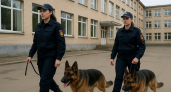 В Липецке эвакуировали 703 человека из школы №54 из-за угрозы минирования