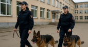 В Лебедяни кинологи проверили школу №2 на взрывчатку