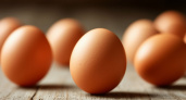 Пищевая безопасность – почему мы неправильно обрабатываем яйца