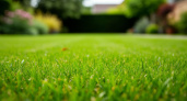 Не полив, а подкормка: осенний секрет вашего идеального газона