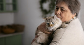 Ученые предупреждают: почему кошки могут быть опасны для людей после 65