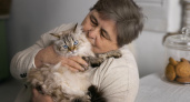 Ученые предупреждают: почему кошки могут быть опасны для людей после 65
