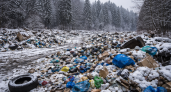 Ущерб природе за 2025 год вырос в четыре раза