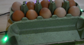 Хитрые продавцы выбирают яйца себе домой только так - запоминайте 2 правила